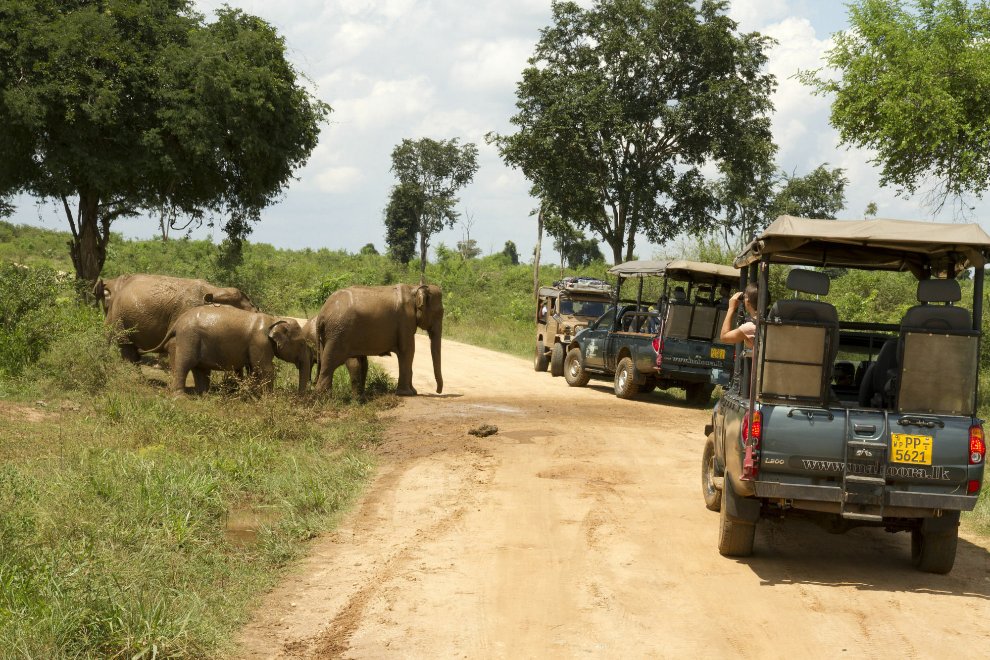 Mahoora Tented Safari Camp Udawalawe Exterior foto