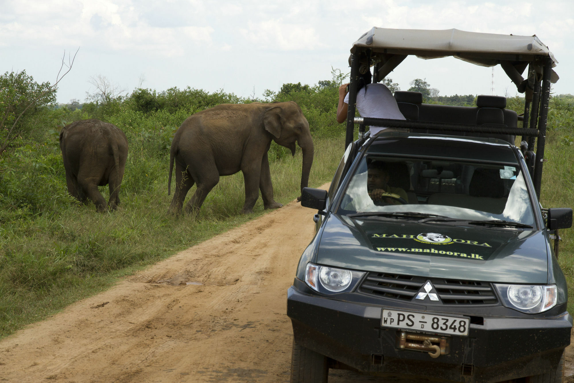 Mahoora Tented Safari Camp Udawalawe Exterior foto