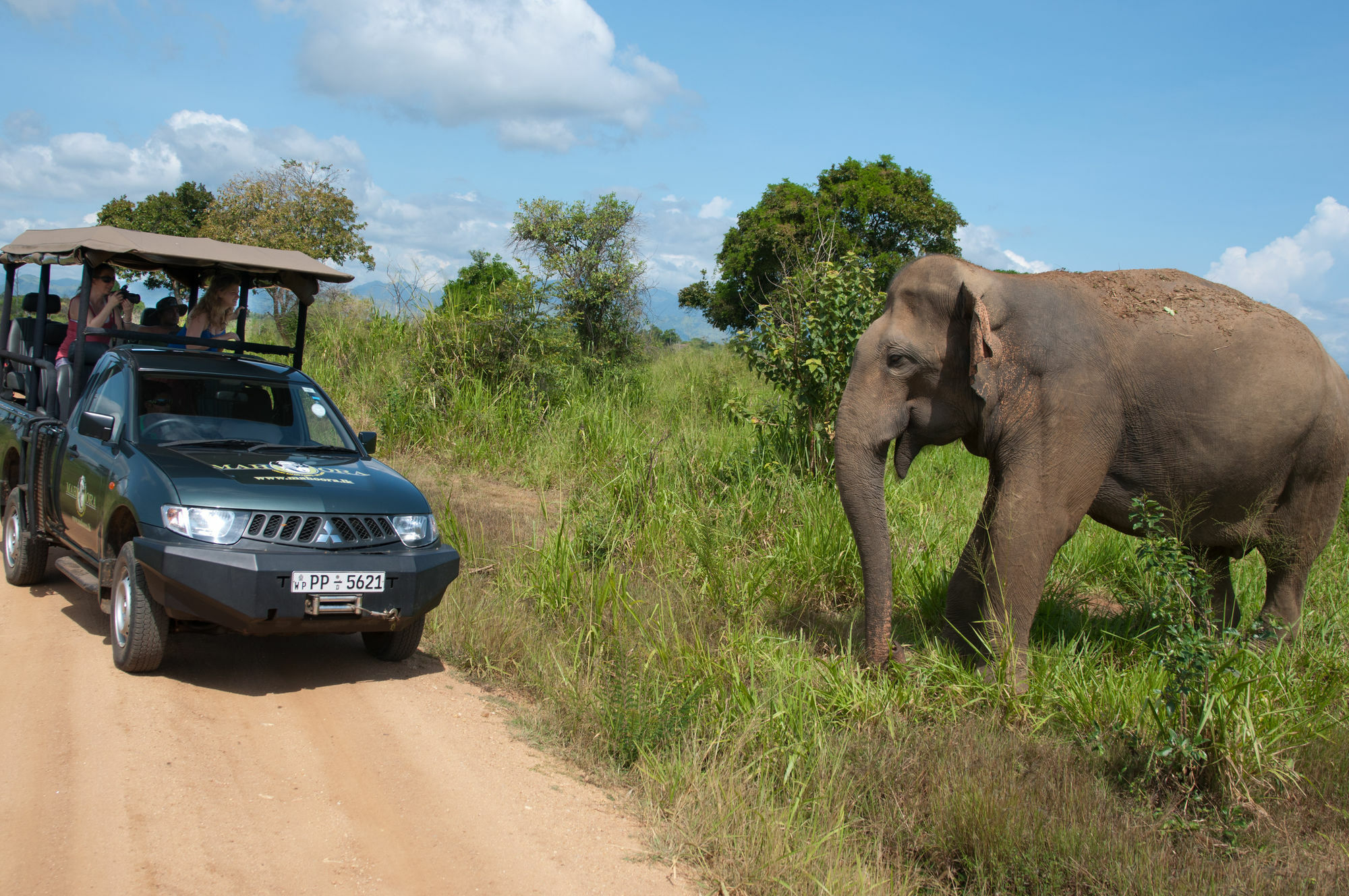 Mahoora Tented Safari Camp Udawalawe Exterior foto