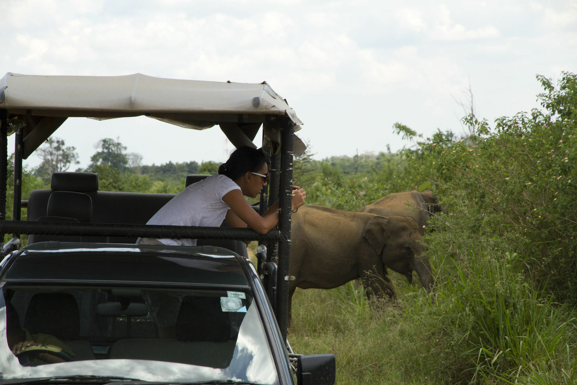 Mahoora Tented Safari Camp Udawalawe Exterior foto